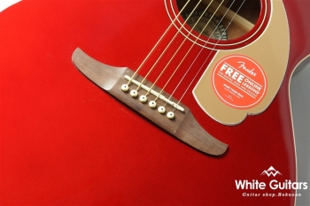 Newporter Player - CAR